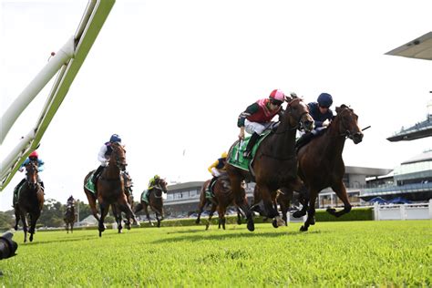 Brad Gray's Tips For Royal Randwick (Saturday) .